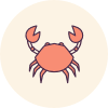 Astrology and Horoscopes